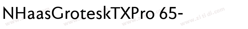 NHaasGroteskTXPro 65字体转换